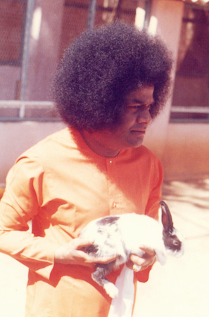 Beloved Bhagawan Sri Sathya Sai Baba